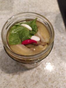 Preserved Eggplant In Olive Oil-Family Cooking Recipes 