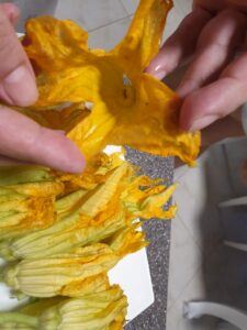 Easy Zucchini Flowers Recipe-Family Cooking