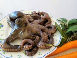 Best Octopus Salad Recipe-Family Cooking