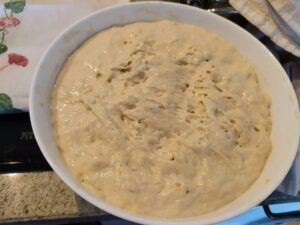 Quick No Knead Bread- Family Cooking Recipes