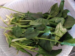 Easy Spinach Souffle-Family Cooking Recipes 