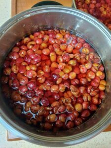 Yellow Cherry Jam-Family Cooking recipes