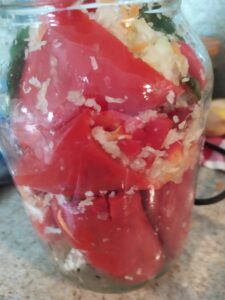 Pickled Cabbage Stuffed Peppers- Family Cooking Recipes