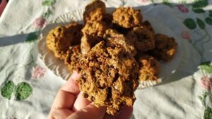 Healthy Rye And Oat Cookies-Family Cooking Recipes 